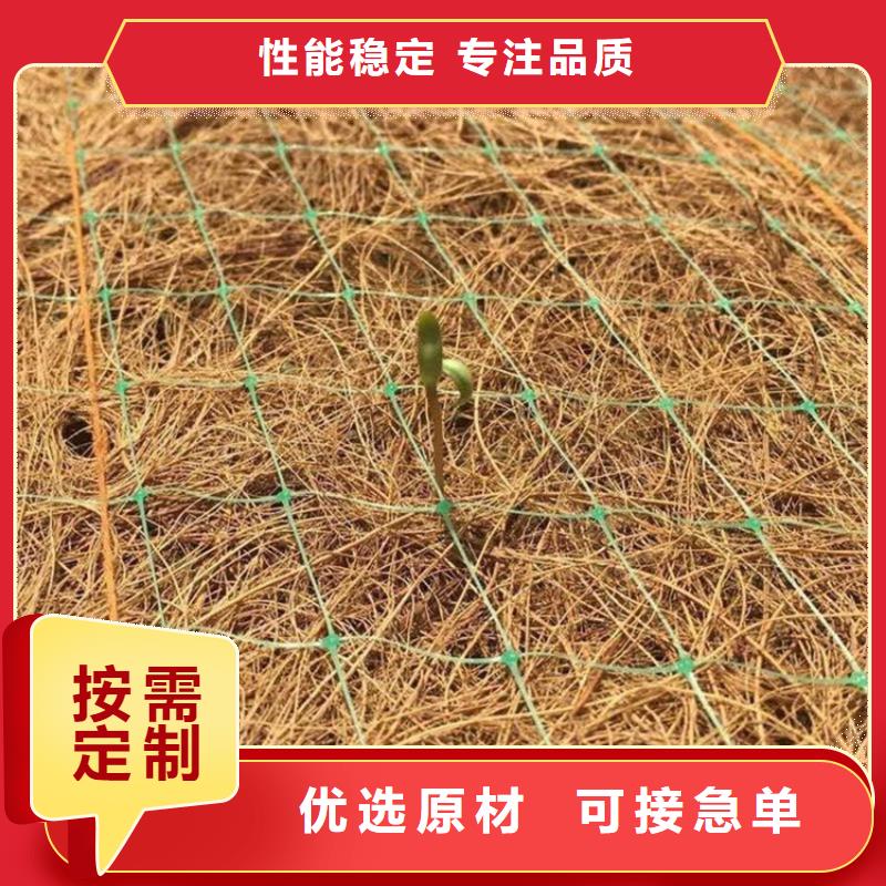 【承德】[本地]<鼎诺>植物纤维毯植物生态防护毯_承德产品案例