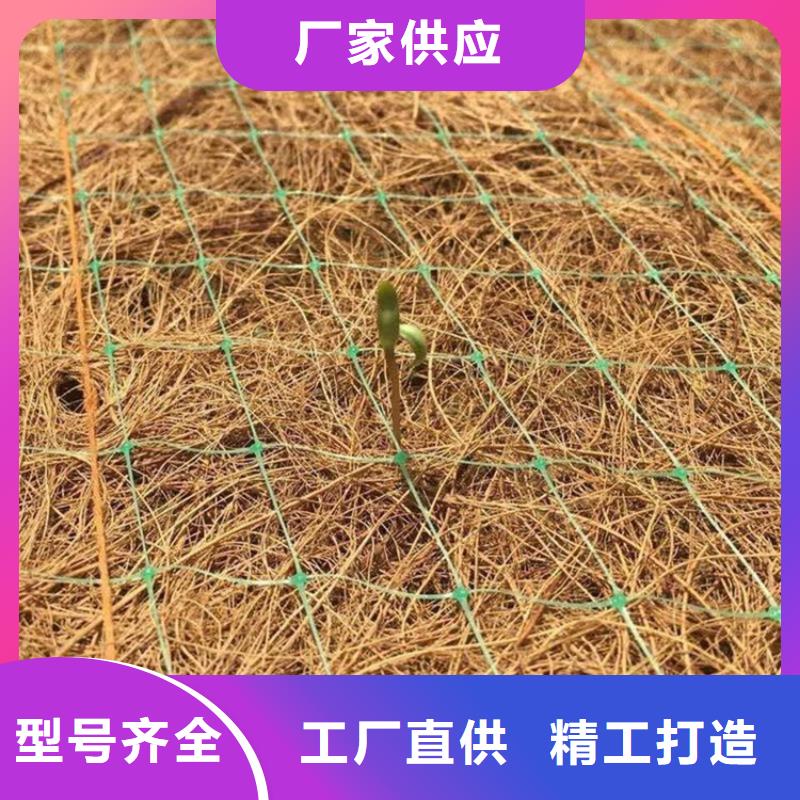 (雅安) 【鼎诺】椰纤植生毯 加筋抗冲生物毯_资讯中心