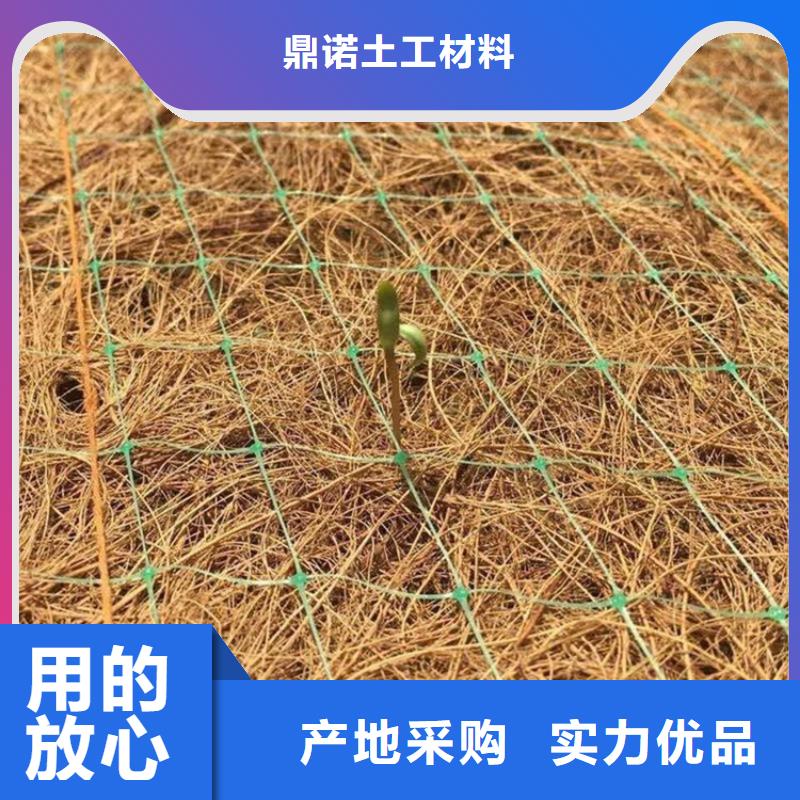 (甘南) <鼎诺>加筋抗冲生物毯-椰纤植生毯 承接_供应中心