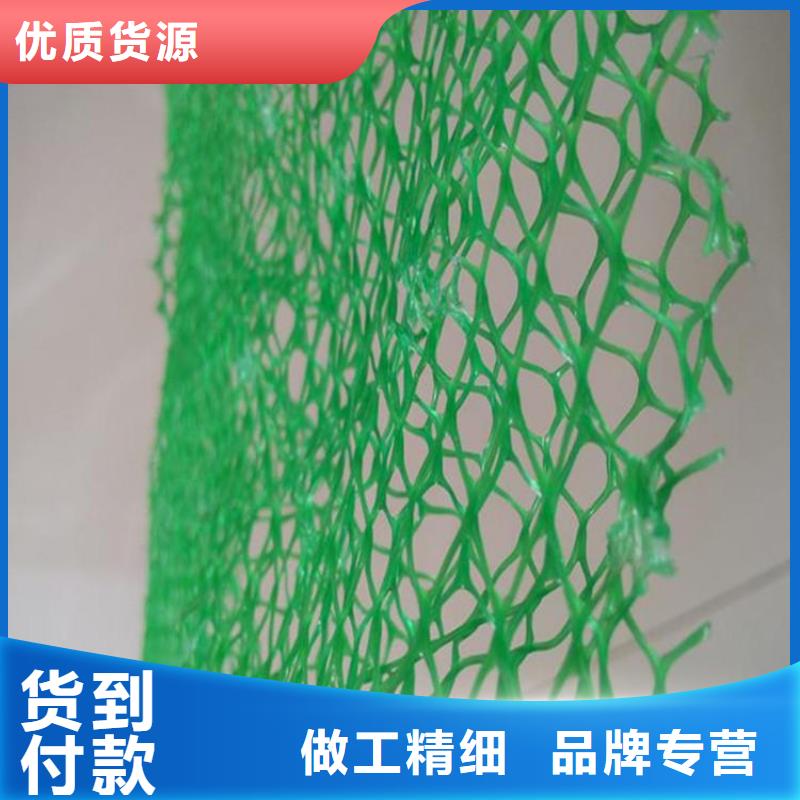 丽江生产EM2三维植被网-4层5层三维植被网