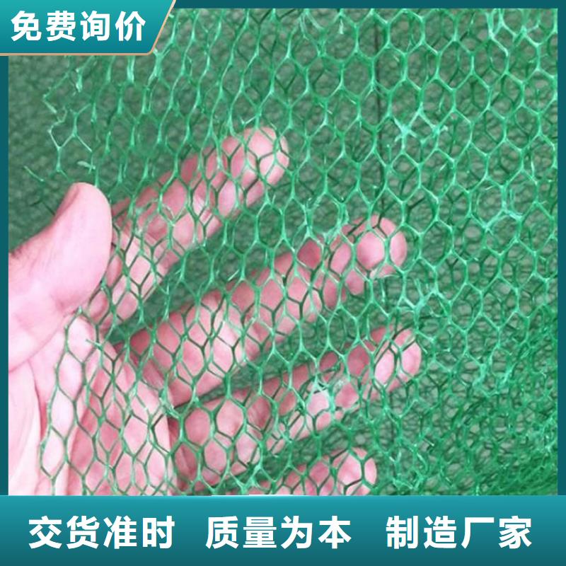 《济南》批发三维固土网垫-边坡三维植被网