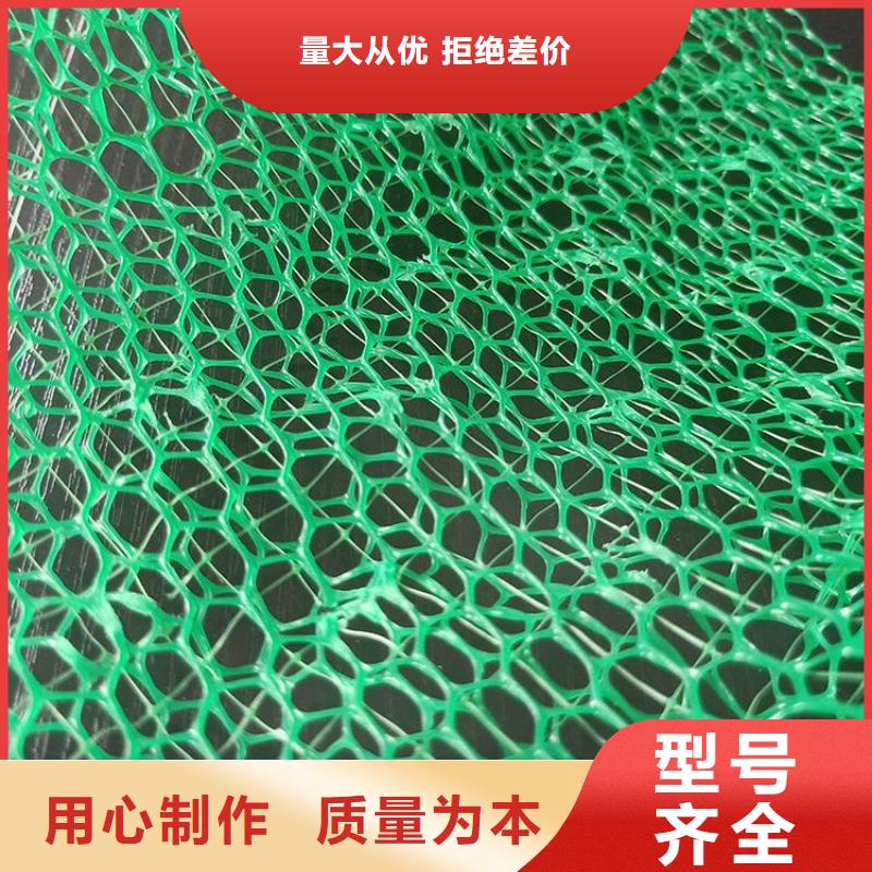 台州找三维固土网垫EM3三维土工网垫