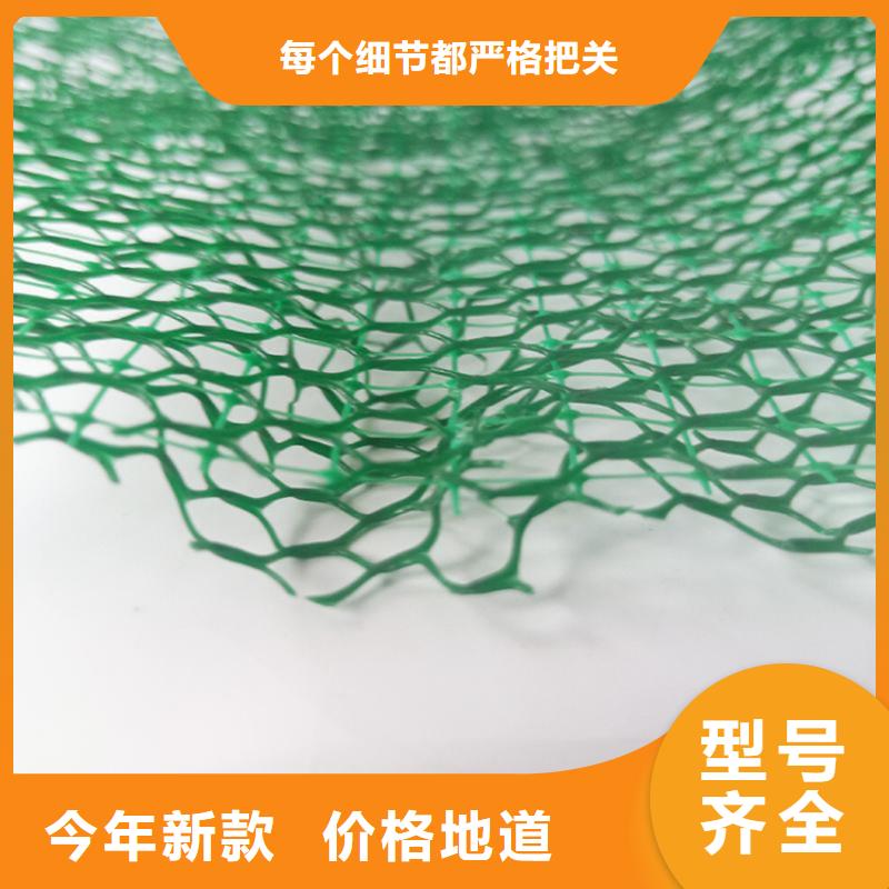 内蒙古本土三维植被网-EM3三维土工网垫