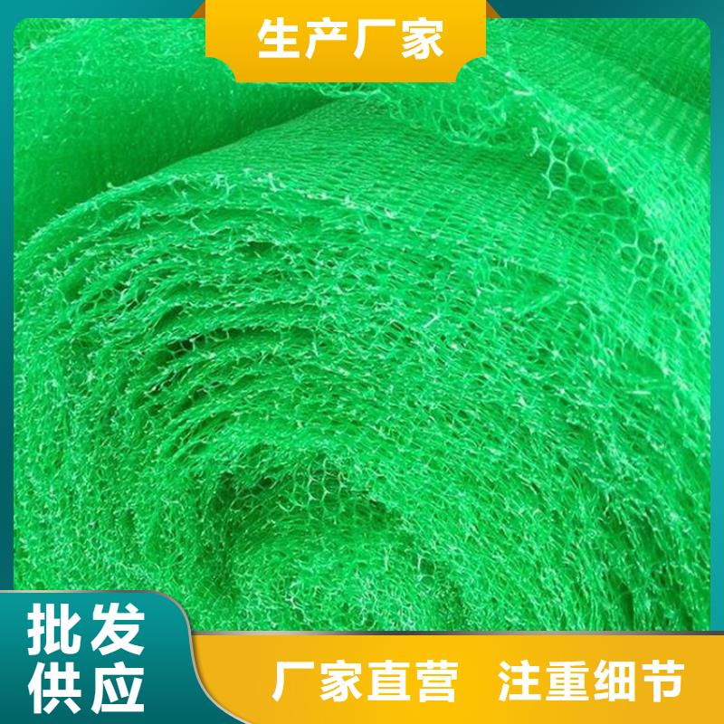 营口生产三维植被网-EM3三维土工网垫