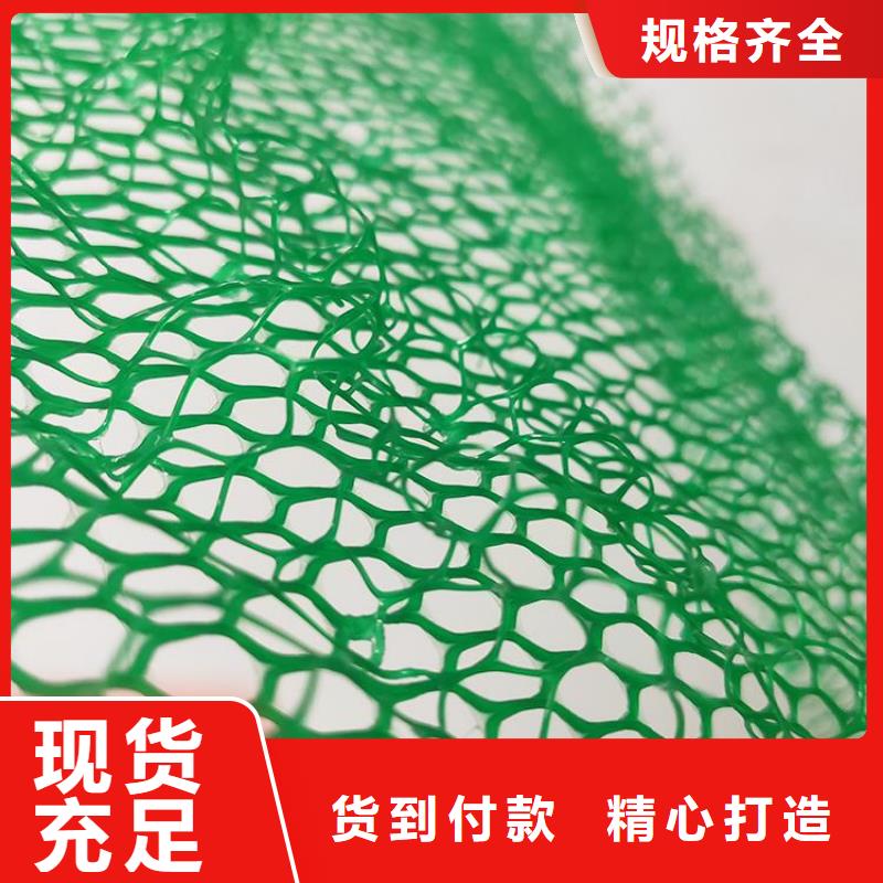 海东直销三维加筋网垫-绿色三维植被网