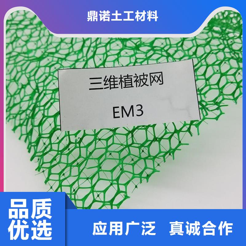 EM2绿化加筋护坡植草网垫