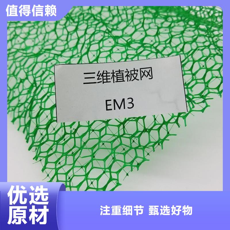 安康订购三维植被网-EM4三维土工网垫