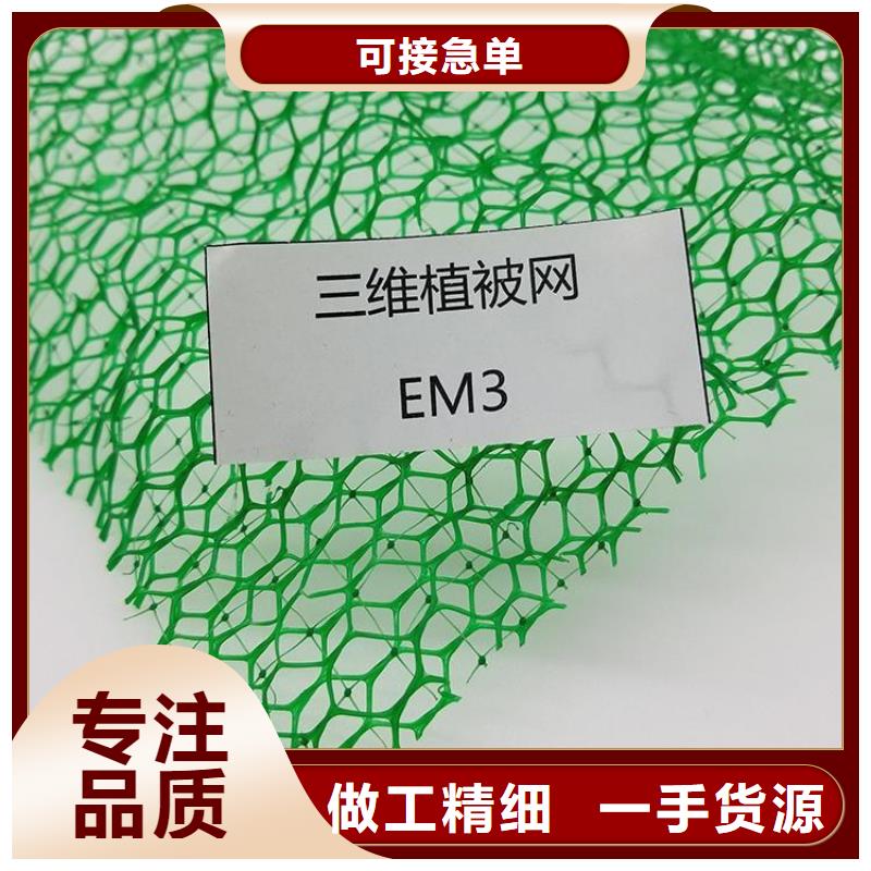 EM3三维土工网垫-护坡三维植被网