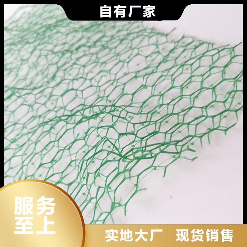 《焦作》品质三维植被网-EM5三维护坡植草网垫