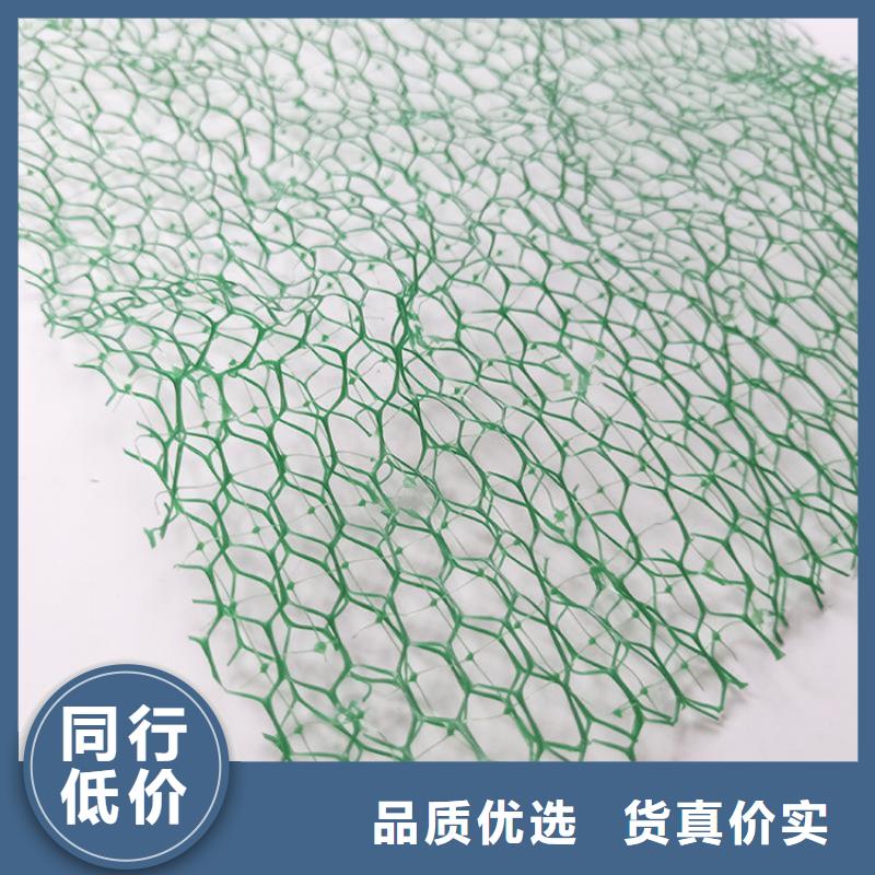 郴州品质三维加筋网垫-加筋三维土工网垫