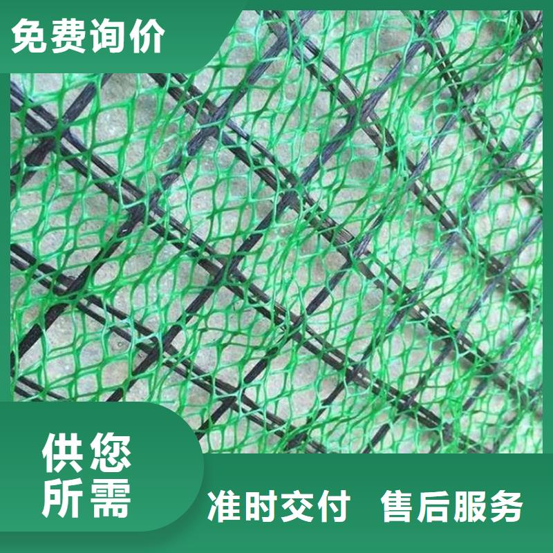 秦皇岛现货环保边坡三维固土网垫