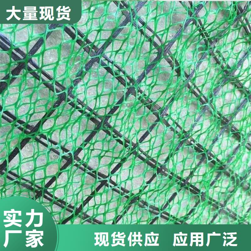 海东直销三维加筋网垫-绿色三维植被网
