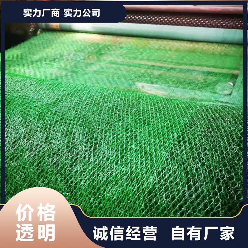 牡丹江同城三维植被网-三维土工网垫