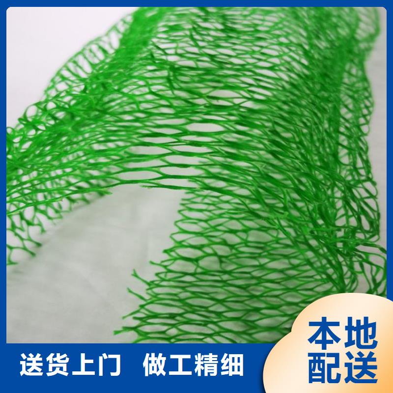 《湖南》销售塑料EM5加筋护坡植草网垫