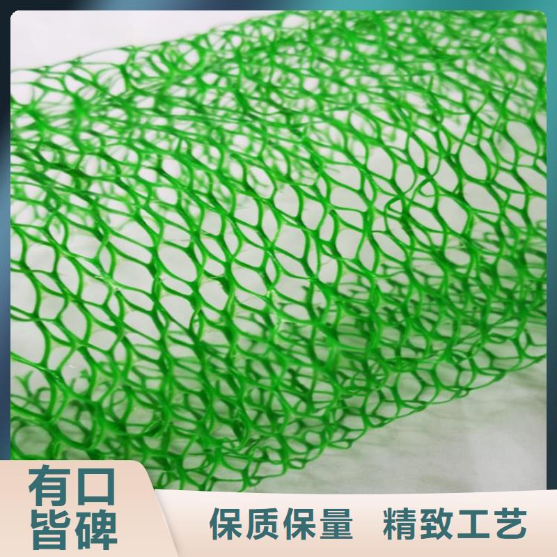 天津生产三维土工网垫价格行情