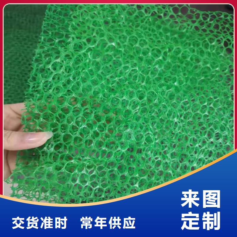 西藏买三维土工网垫-EM3三维土工网垫