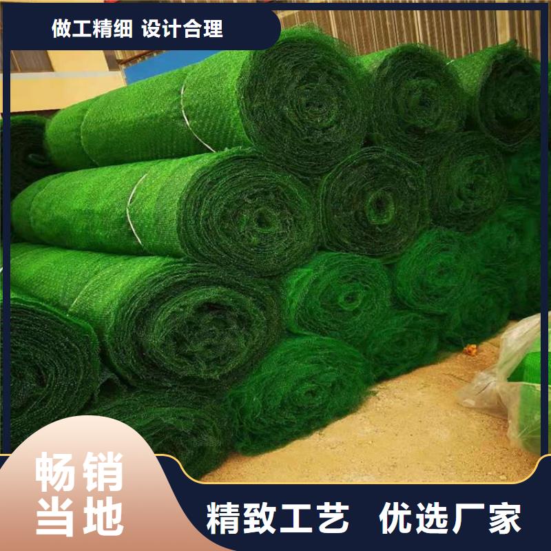 《黑龙江》询价EM4三维护坡植草网垫-植被网