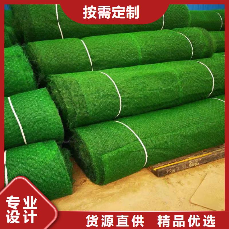 梅州品质三维护坡植草网垫厂家-本地经销