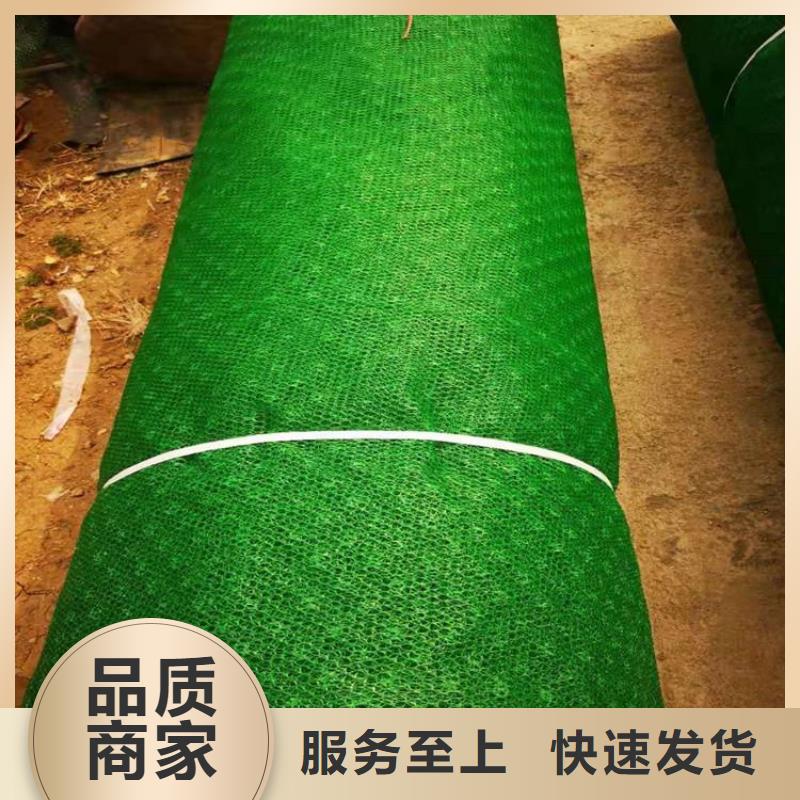 自贡生产三维加筋网垫源头厂家