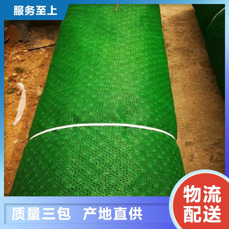 三维植被网【玻纤土工格栅】实力优品