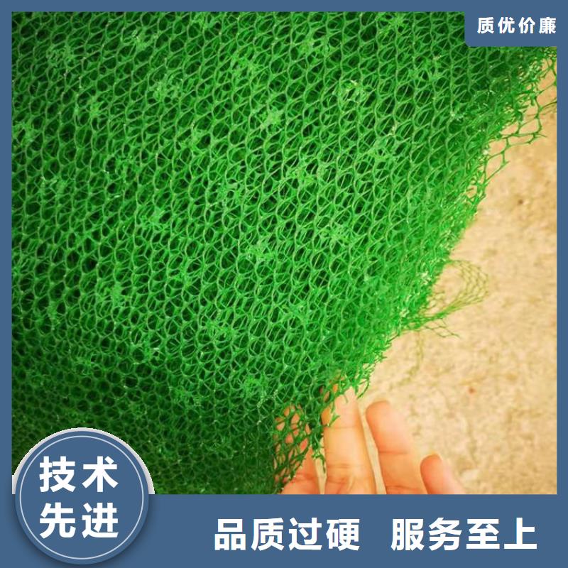 金昌生产三维土工网垫-三维固土网垫