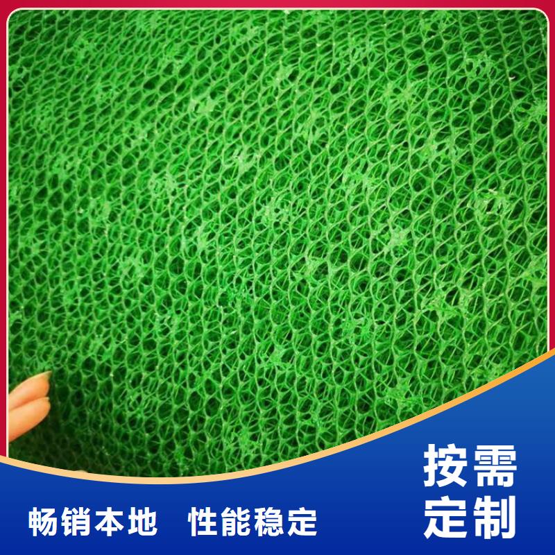 铜仁品质三维土工网垫-EM5三维护坡植草网垫
