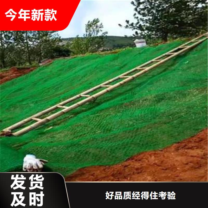 梅州品质三维护坡植草网垫厂家-本地经销