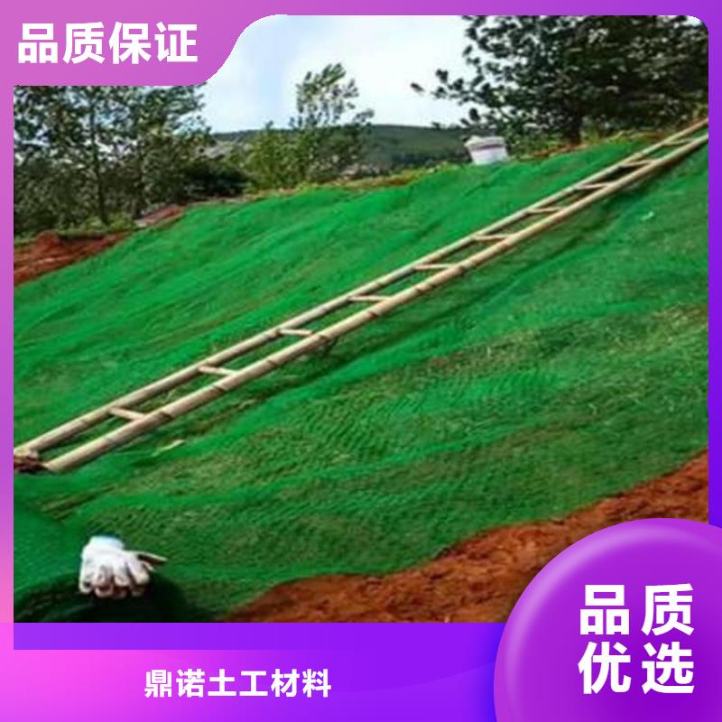 三维植被网【HDPE土工膜】经销商