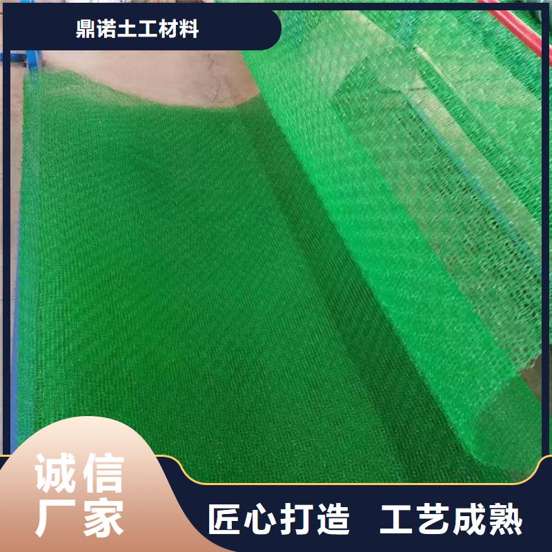《湖南》销售塑料EM5加筋护坡植草网垫