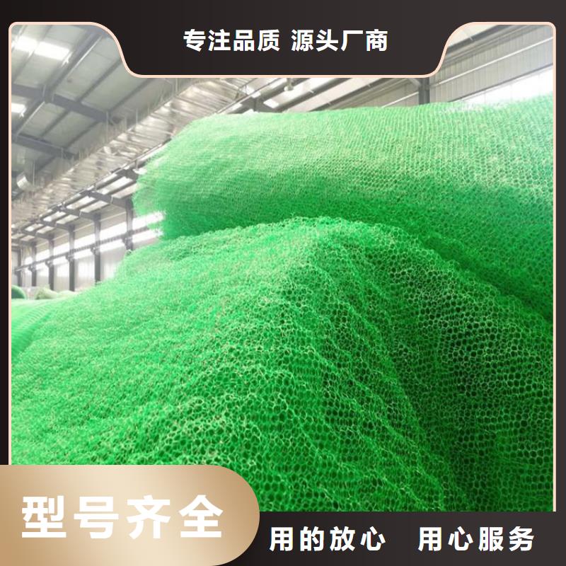 南平经营三维固土网垫EM2塑料