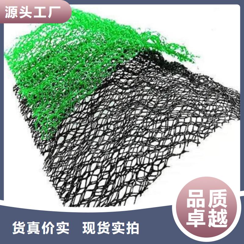 海西购买三维植被网-三维土工网垫