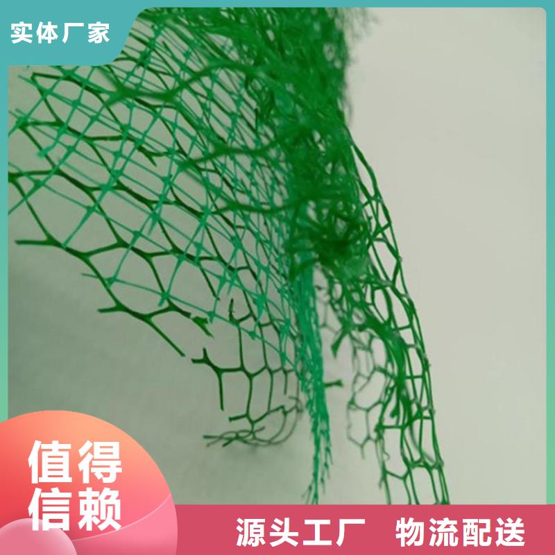 西安采购EM4三维固土网垫-加筋三维土工网垫