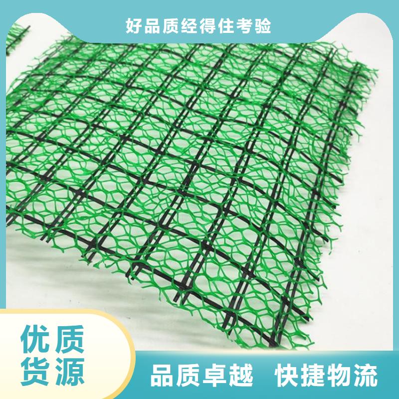 【滨州】买三维加筋网垫-三维土工网