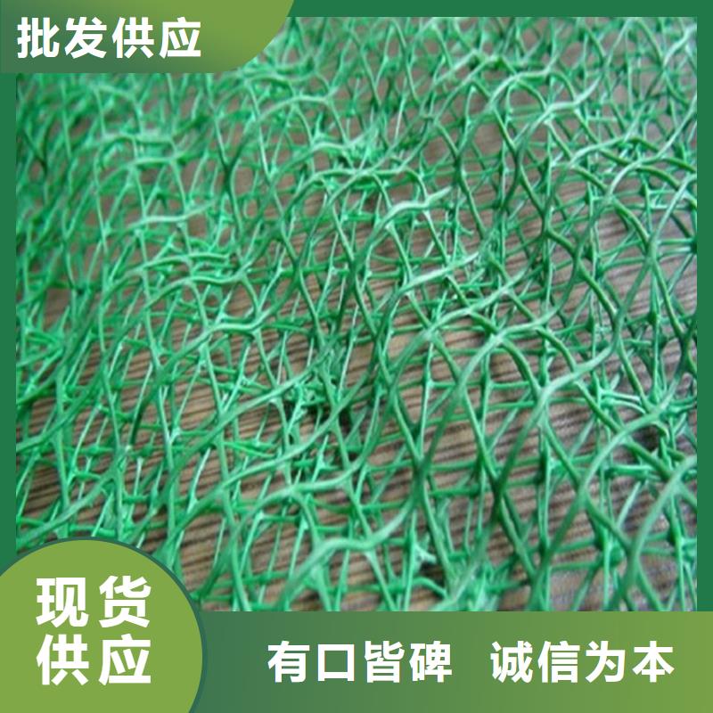 阳泉诚信三维加筋网垫-三维土工网垫