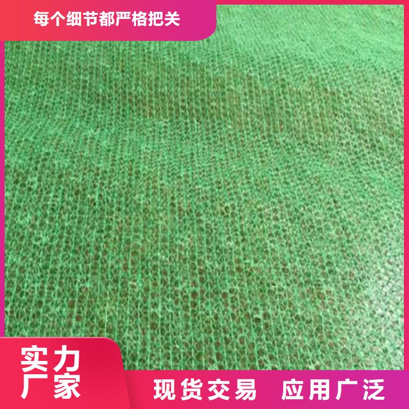 台州找三维固土网垫EM3三维土工网垫