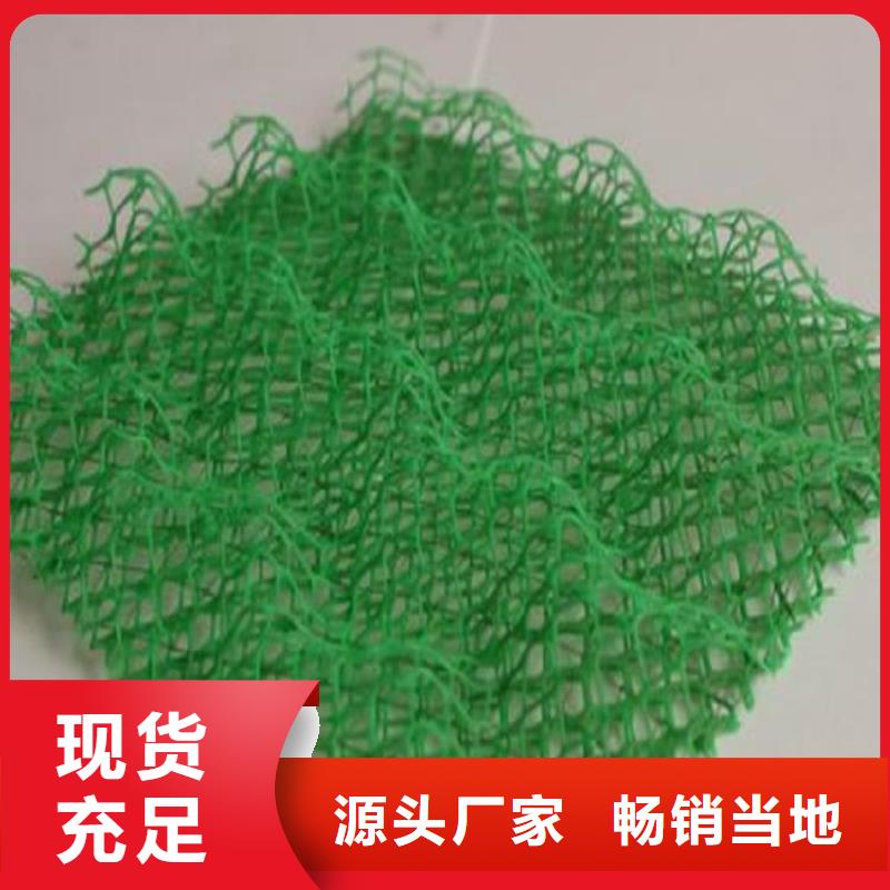 汉中本土三维土工网垫-EM3三维植被网