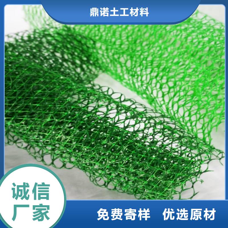 天津同城三维植被网-三维土工网垫