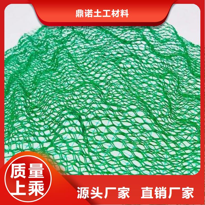 西安采购EM4三维固土网垫-加筋三维土工网垫