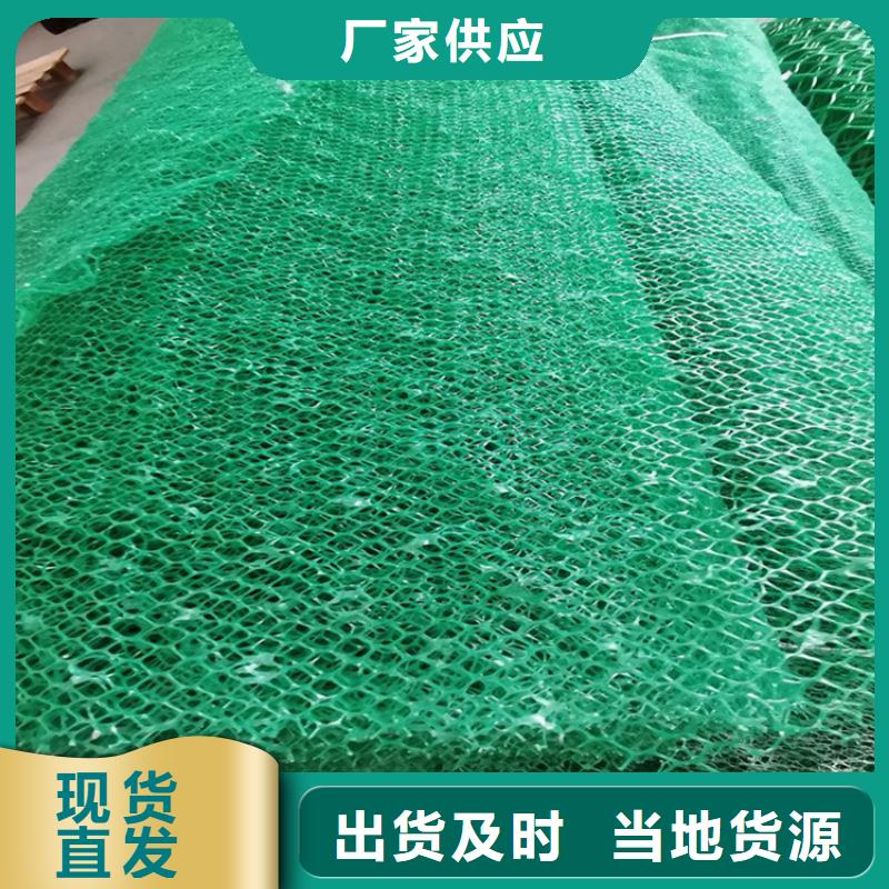 《焦作》品质三维植被网-EM5三维护坡植草网垫