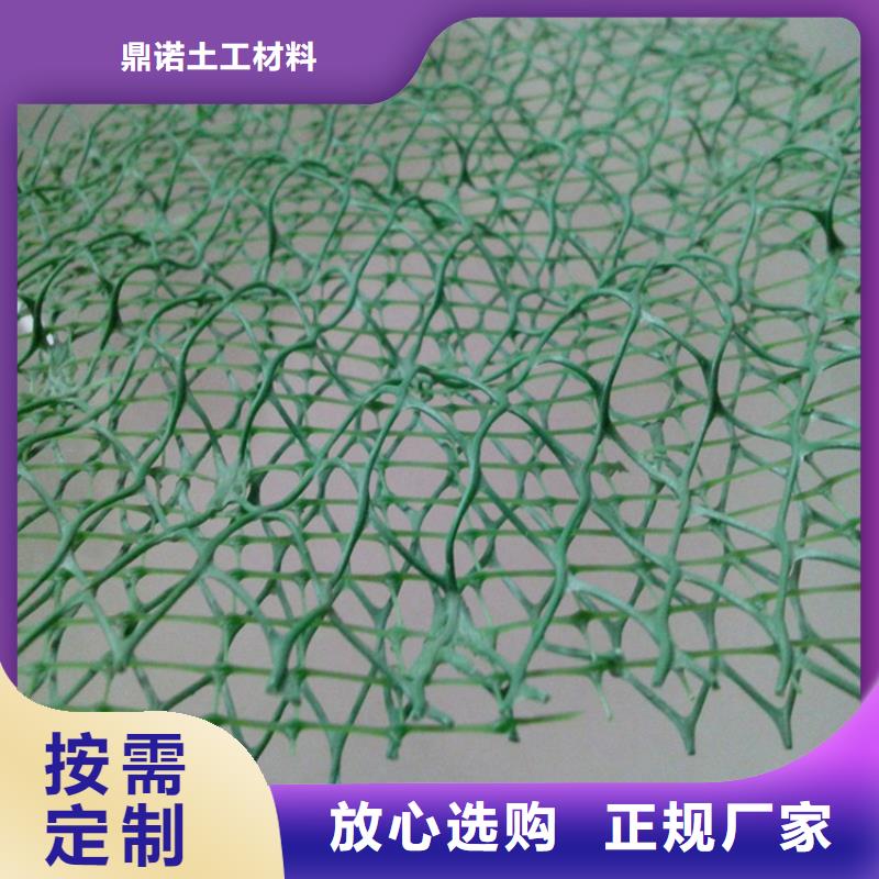 郴州品质三维加筋网垫-加筋三维土工网垫
