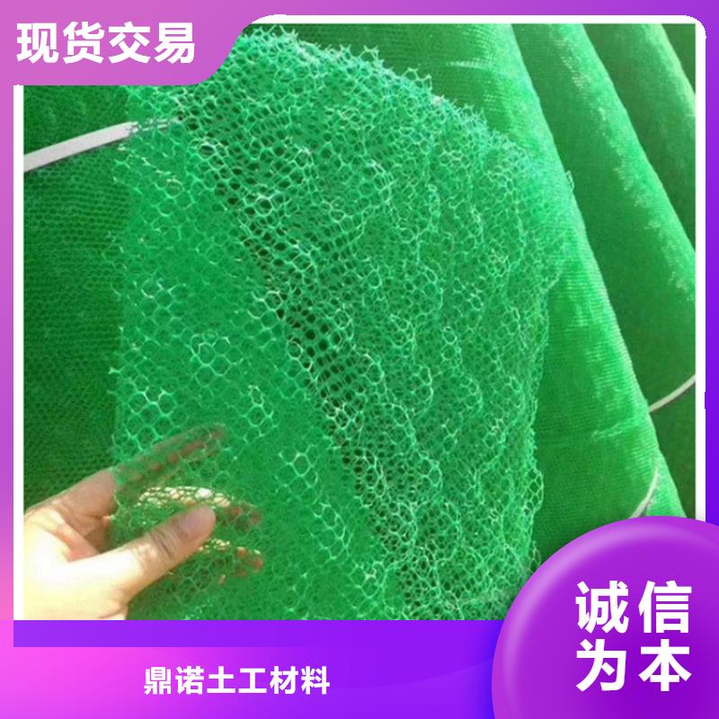 牡丹江同城三维植被网-三维土工网垫