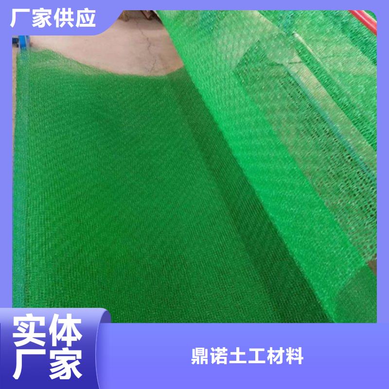 EM2绿化加筋护坡植草网垫