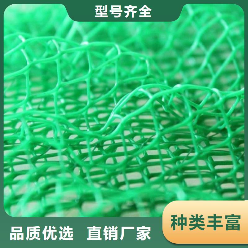 合肥定制EM5三维加筋网垫-EM4三维植被网