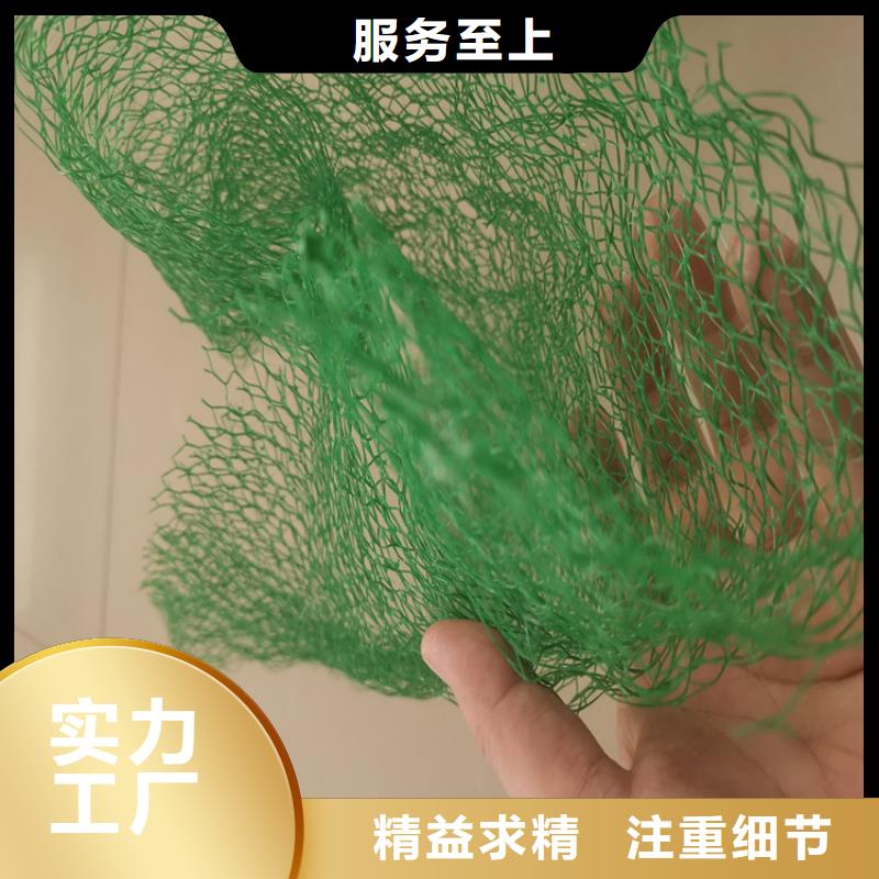 金昌现货三维植被网塑料环保