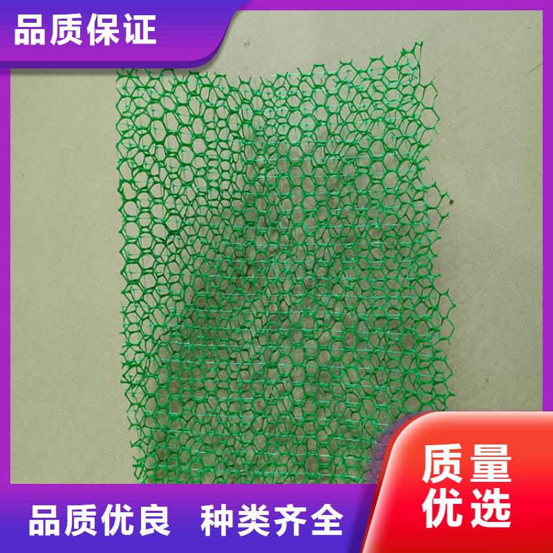 毕节生产三维植被网-EM3三维加筋网垫