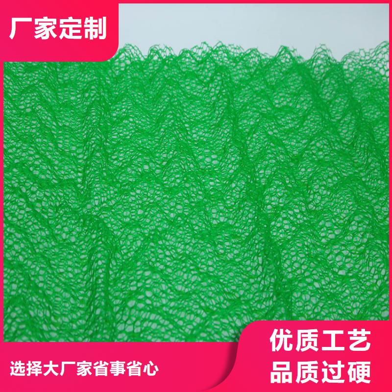 【伊犁】选购塑料加筋三维植被网