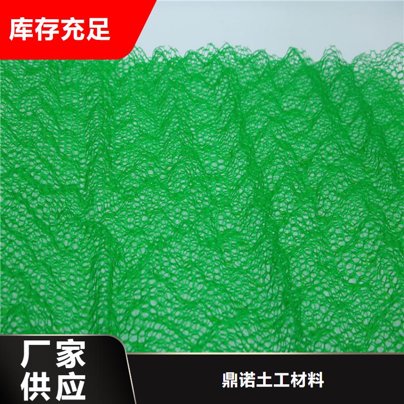 低价货源【鼎诺】三维植被网HDPE土工膜优选好材铸造好品质