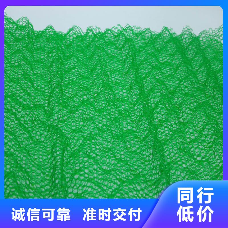 工期短发货快[鼎诺]三维土工网垫-三维固土网垫