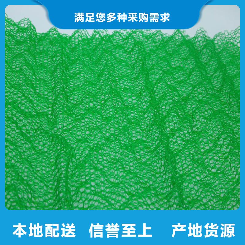 [保山](本地)【鼎诺】EM3三维植被网-三维植被网垫_产品案例
