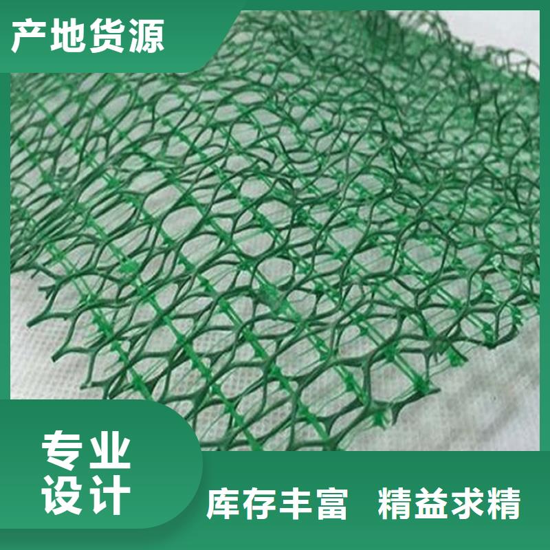 三维加筋网垫-植被网